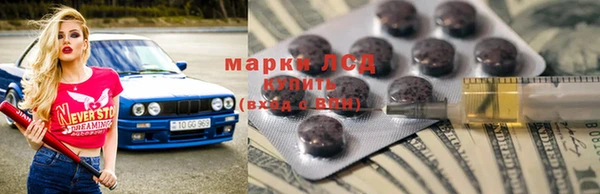 хмурый Корсаков
