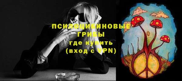 хмурый Корсаков