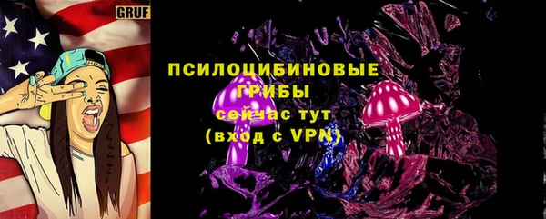 ГАЛЛЮЦИНОГЕННЫЕ ГРИБЫ Красноперекопск